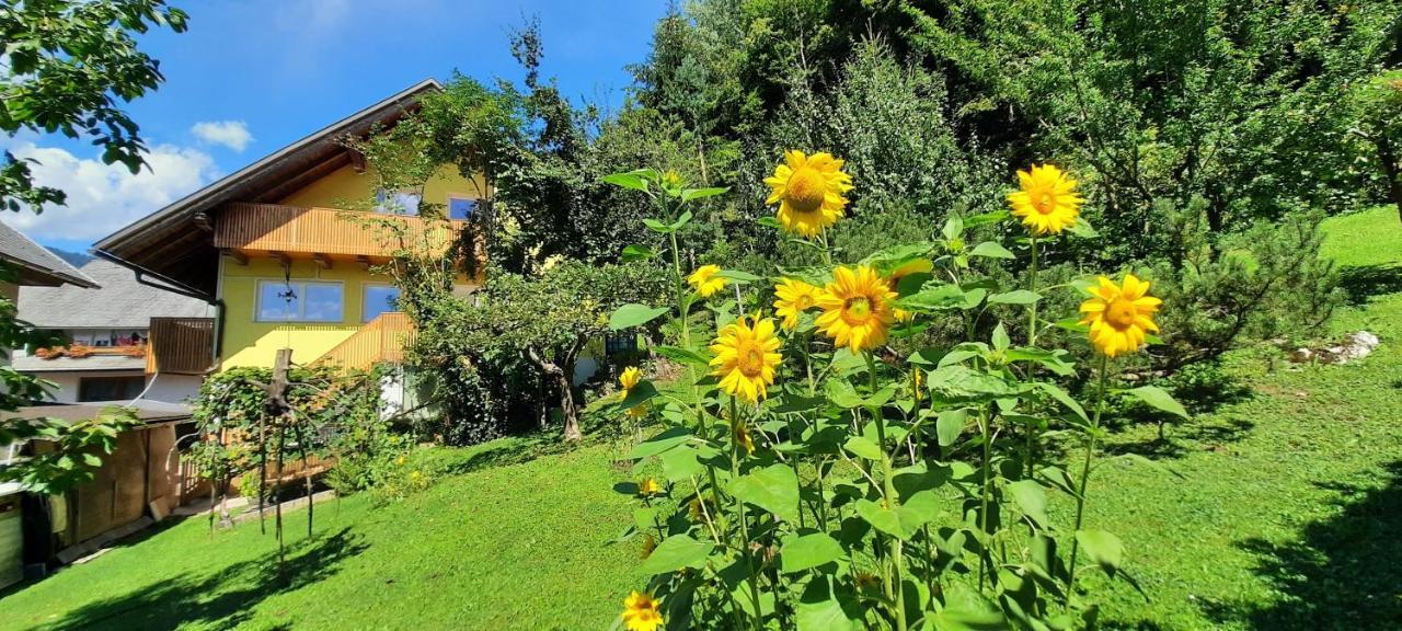 Apartment Murka Begunje na Gorenjskem Εξωτερικό φωτογραφία